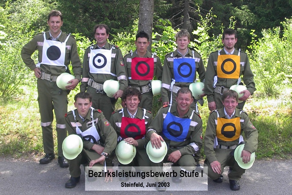 Bezirksleistungswettbewerb Stufe 1 in Steinfeld 2003